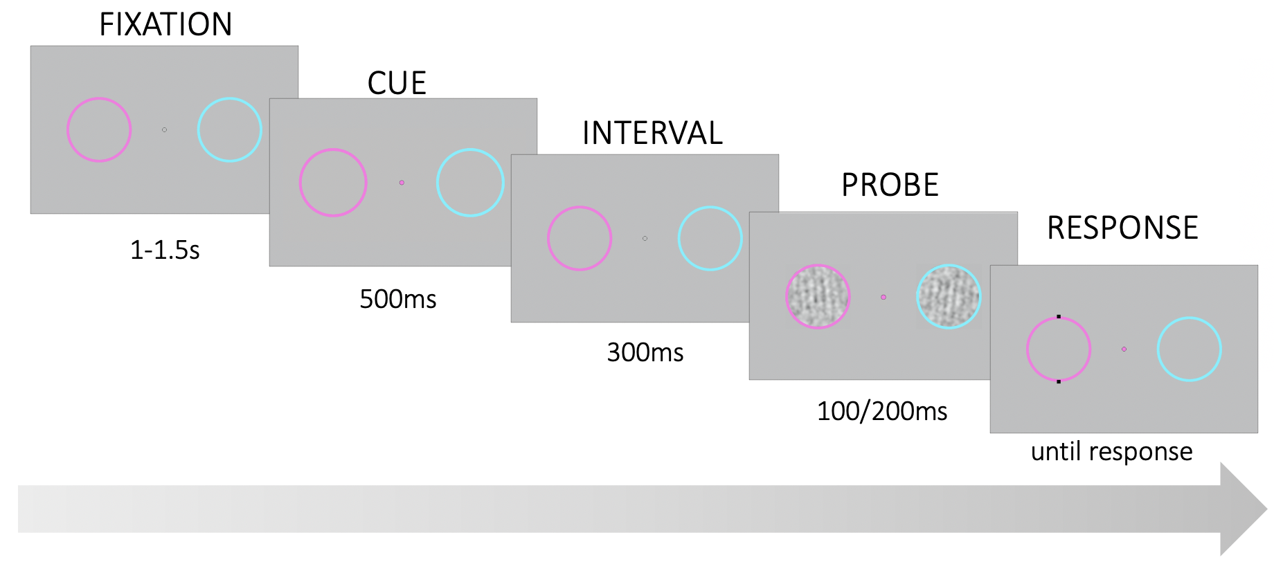 Trial structure followed Experiment 1. However, here, 800ms prior to stimulus presentation, the fixation point assumed the color of the ring which was more likely to be probed for 500ms. Note that on each trial stimulus duration was randomly determined as either 100ms or 200ms.